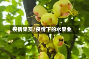 疫情果实/疫情下的水果业