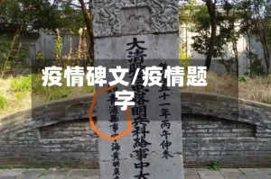 疫情碑文/疫情题字
