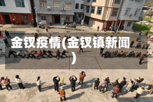 金钗疫情(金钗镇新闻)