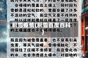 积雪疫情(积雪百度百科)