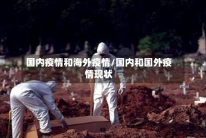 国内疫情和海外疫情/国内和国外疫情现状