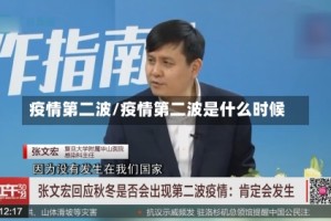 疫情第二波/疫情第二波是什么时候