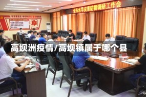 高坝洲疫情/高坝镇属于哪个县