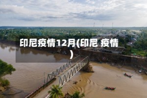 印尼疫情12月(印尼 疫情)