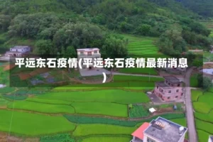 平远东石疫情(平远东石疫情最新消息)