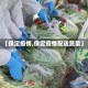 【保定疫情,保定疫情配送蔬菜】