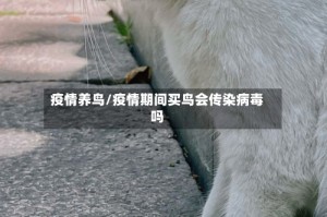 疫情养鸟/疫情期间买鸟会传染病毒吗