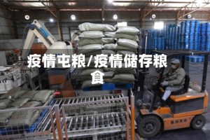 疫情屯粮/疫情储存粮食