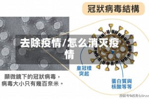 去除疫情/怎么消灭疫情