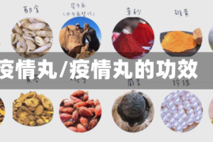 疫情丸/疫情丸的功效