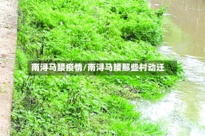 南浔马腰疫情/南浔马腰那些村动迁