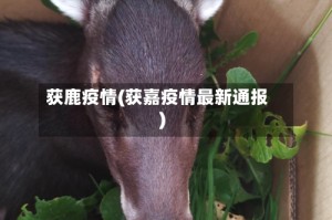 获鹿疫情(获嘉疫情最新通报)