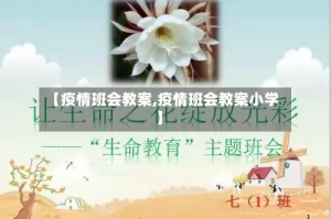 【疫情班会教案,疫情班会教案小学】