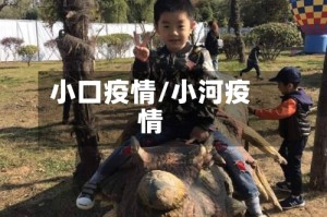 小口疫情/小河疫情