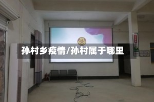 孙村乡疫情/孙村属于哪里