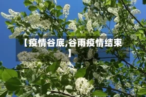 【疫情谷底,谷雨疫情结束】