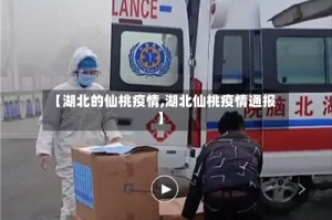 【湖北的仙桃疫情,湖北仙桃疫情通报】