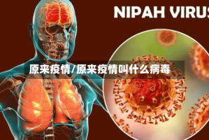 原来疫情/原来疫情叫什么病毒