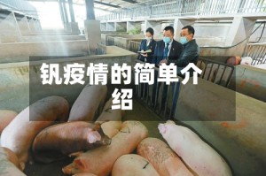 钒疫情的简单介绍