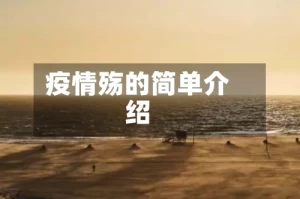 疫情殇的简单介绍