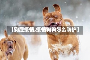 【狗屁疫情,疫情狗狗怎么防护】