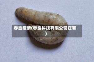 春蚕疫情(春蚕科技有限公司在哪)