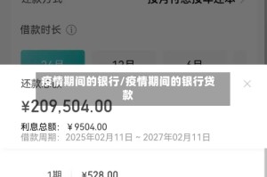 疫情期间的银行/疫情期间的银行贷款