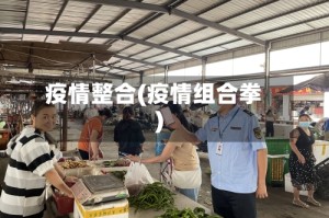 疫情整合(疫情组合拳)