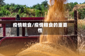 疫情粮食/疫情粮食的重要性