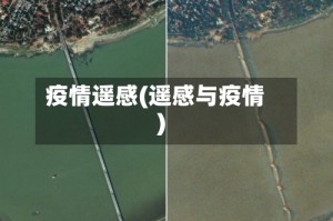 疫情遥感(遥感与疫情)