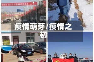 疫情萌芽/疫情之初