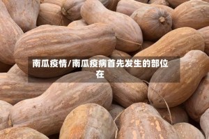 南瓜疫情/南瓜疫病首先发生的部位在
