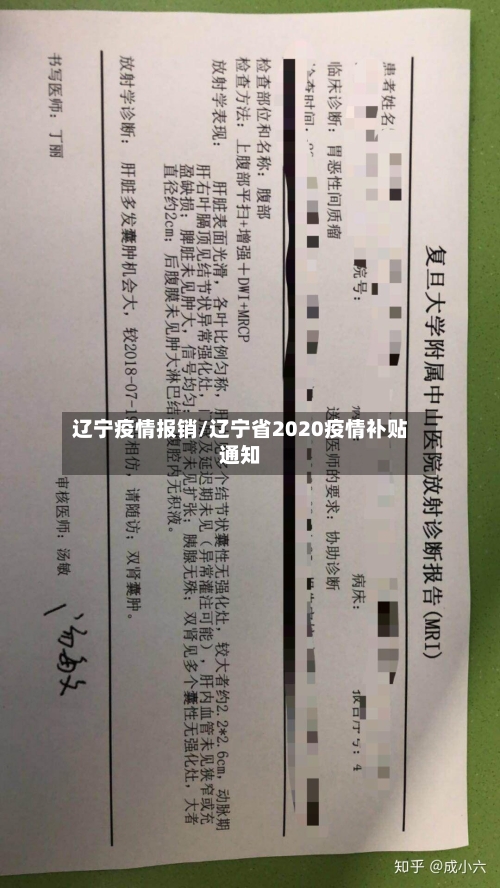 辽宁疫情报销/辽宁省2020疫情补贴通知-第3张图片