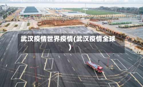 武汉疫情世界疫情(武汉疫情全球)-第1张图片