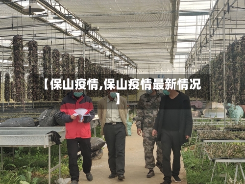 【保山疫情,保山疫情最新情况】-第2张图片