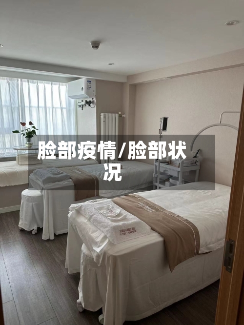 脸部疫情/脸部状况-第1张图片