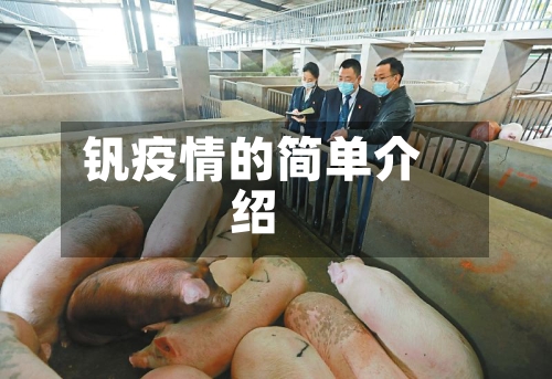 钒疫情的简单介绍-第1张图片