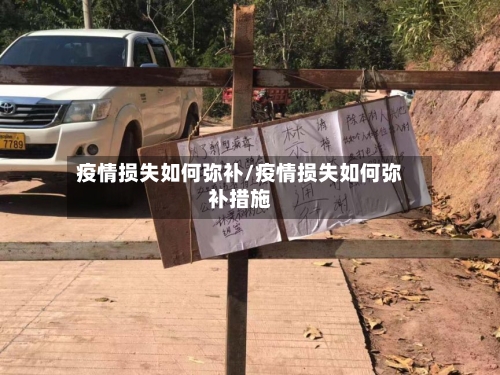 疫情损失如何弥补/疫情损失如何弥补措施-第2张图片