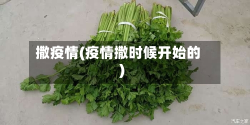 撒疫情(疫情撒时候开始的)-第3张图片