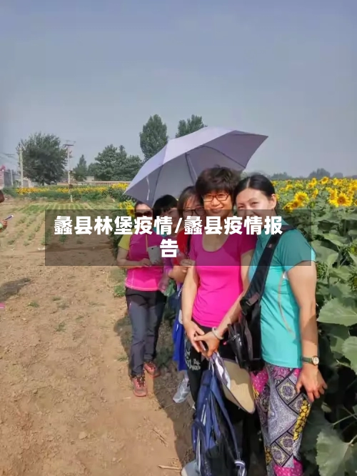 蠡县林堡疫情/蠡县疫情报告-第1张图片