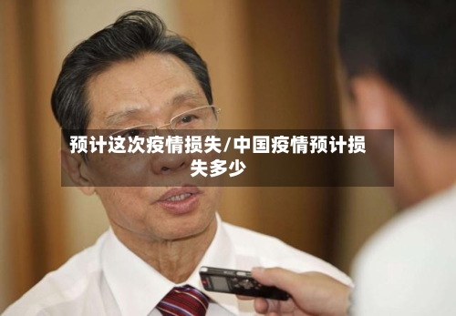 预计这次疫情损失/中国疫情预计损失多少-第3张图片