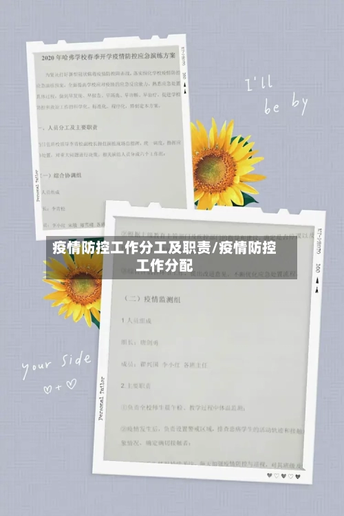 疫情防控工作分工及职责/疫情防控工作分配-第2张图片