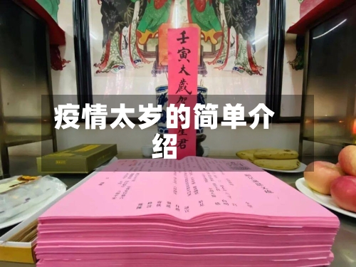 疫情太岁的简单介绍-第2张图片