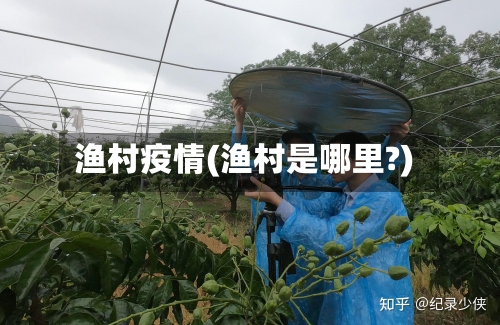 渔村疫情(渔村是哪里?)-第1张图片