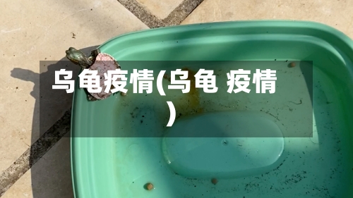乌龟疫情(乌龟 疫情)-第1张图片
