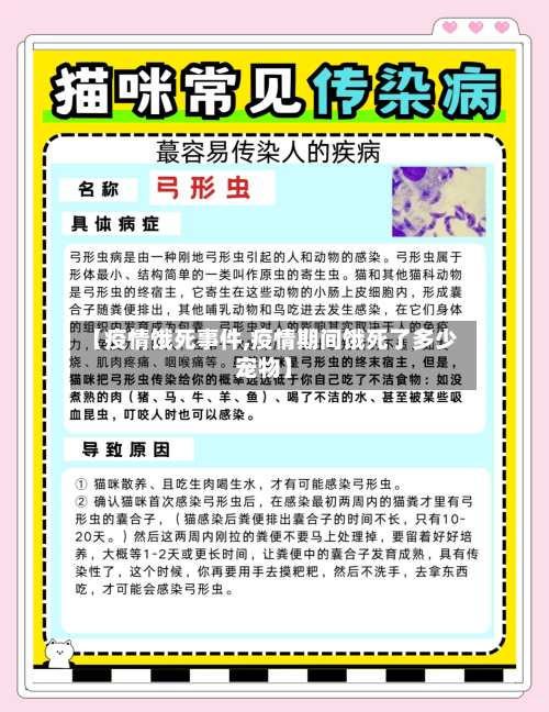 【疫情饿死事件,疫情期间饿死了多少宠物】-第1张图片