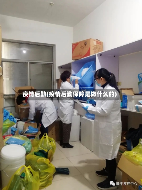 疫情后勤(疫情后勤保障是做什么的)-第1张图片