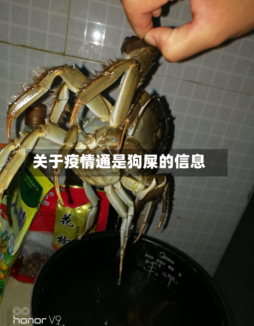 关于疫情通是狗屎的信息-第1张图片
