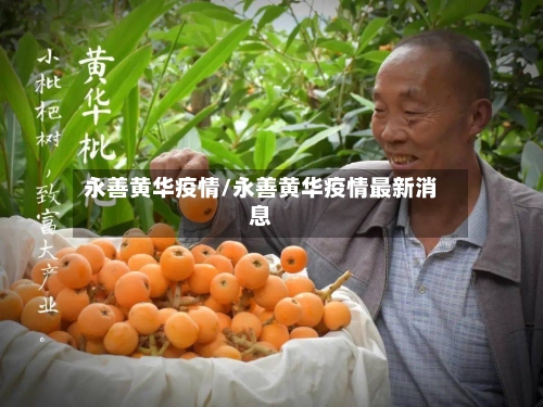 永善黄华疫情/永善黄华疫情最新消息-第1张图片