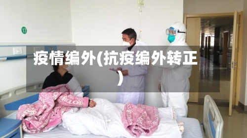 疫情编外(抗疫编外转正)-第2张图片